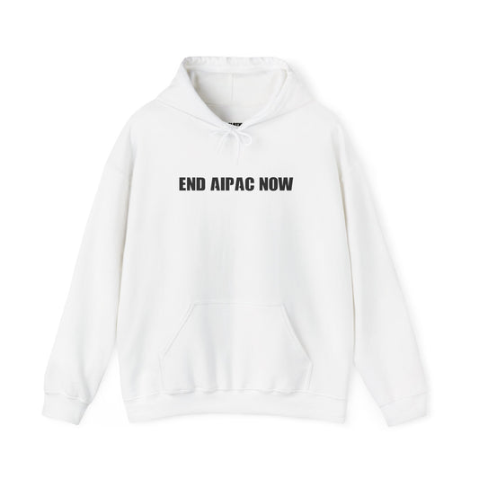 End AIPAC Now - Heavy Blend Hoodie - Unisex