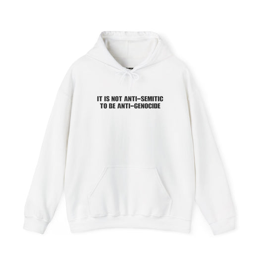 It is not Anti-Semitic to be Anti-Genocide - Heavy Blend Hoodie - Unisex
