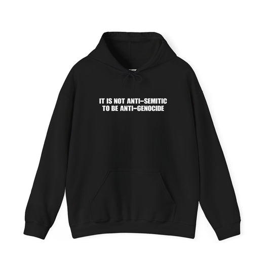 It is not Anti-Semitic to be Anti-Genocide - Heavy Blend Hoodie - Unisex